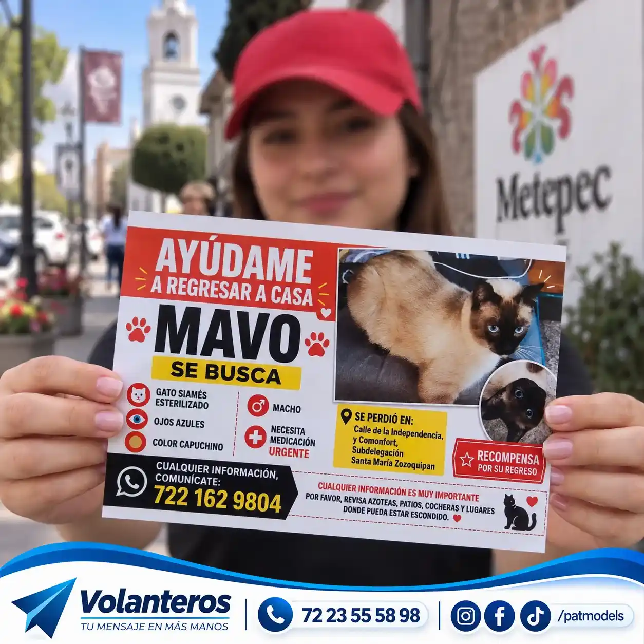 Campaña de volanteo de Búsqueda en Toluca y Metepec